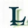 Logo Lavage Élégant